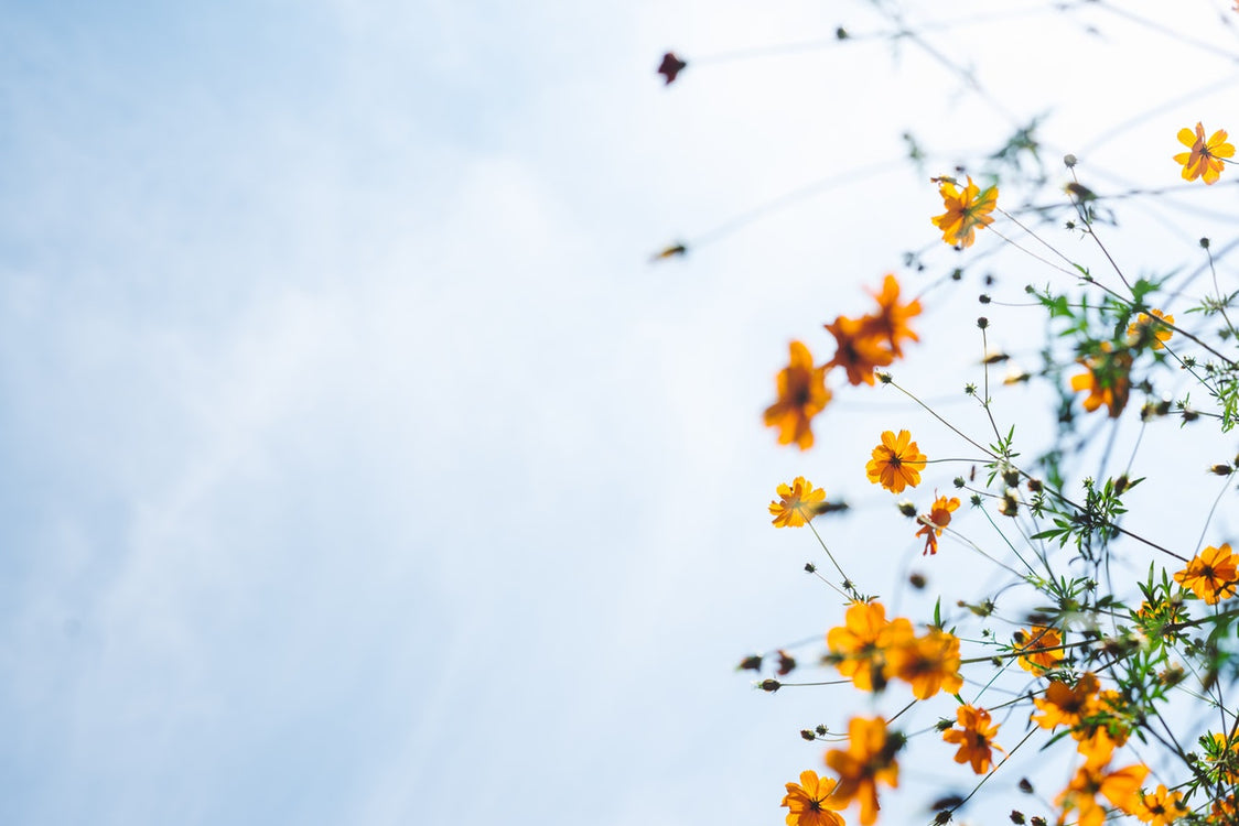 Spring is a Time for Growth, Both Inside and Out