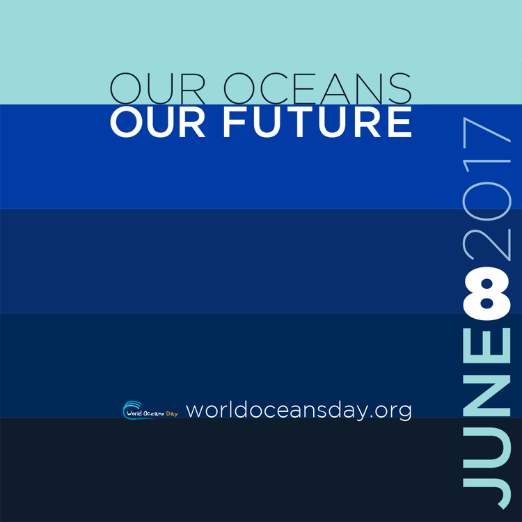 Today is World Ocean's Day!