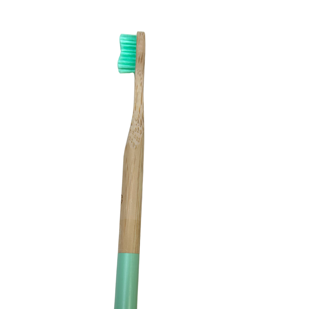 Teal Biodegradable Toothbrush