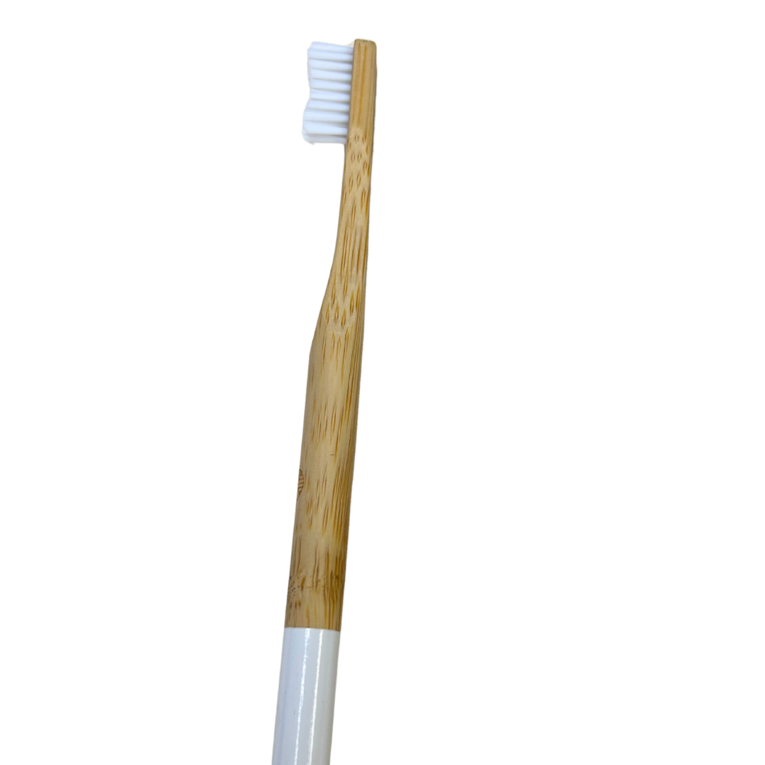 Biodegradable Toothbrush