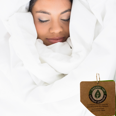 Organic Cotton Duvet by Century Home
