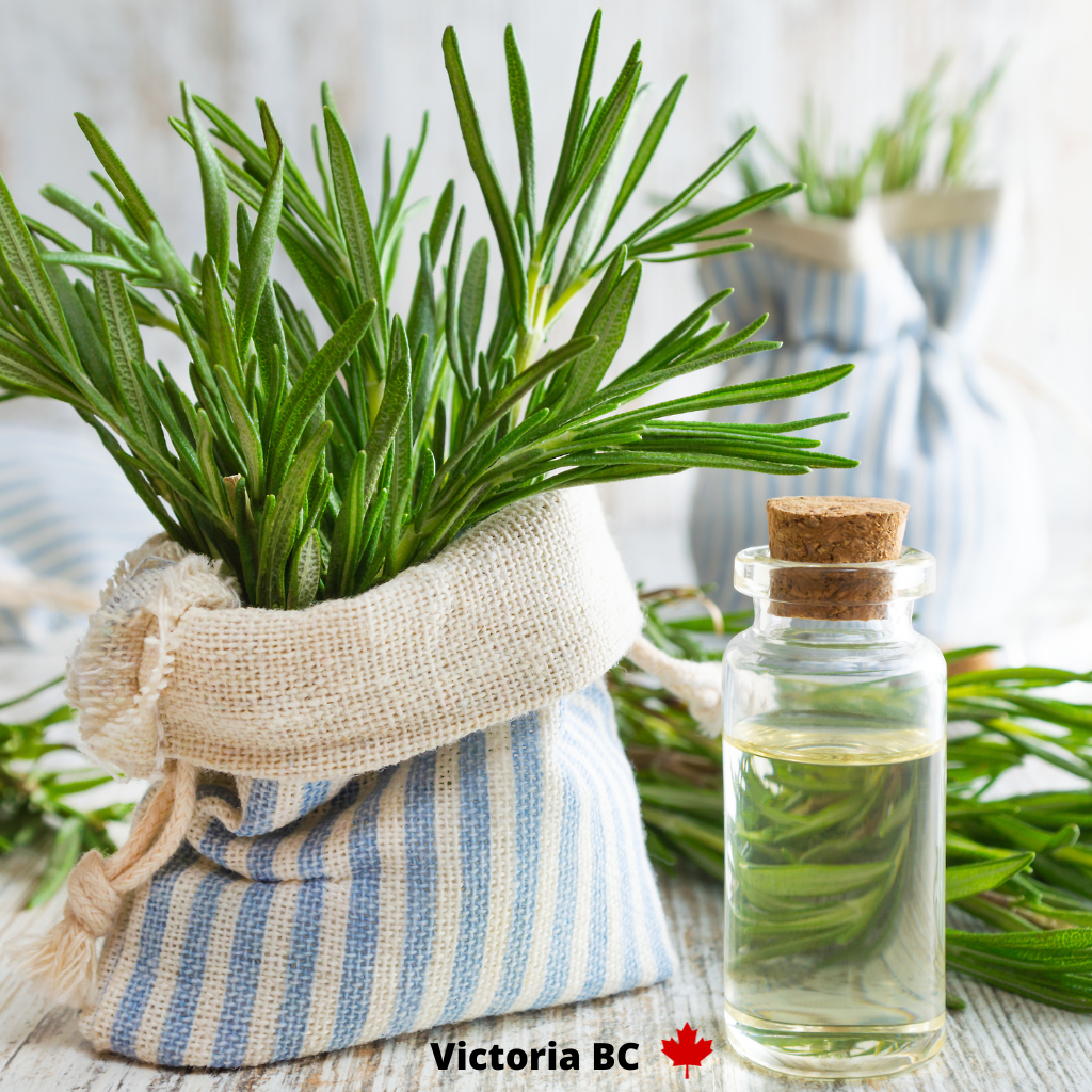 Rosemary Essential Oil for Muscle Aches