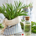Rosemary Essential Oil for Muscle Aches
