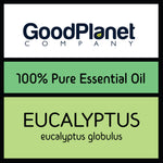 Eucalyptus Oil - 100% Pure Essential Oil