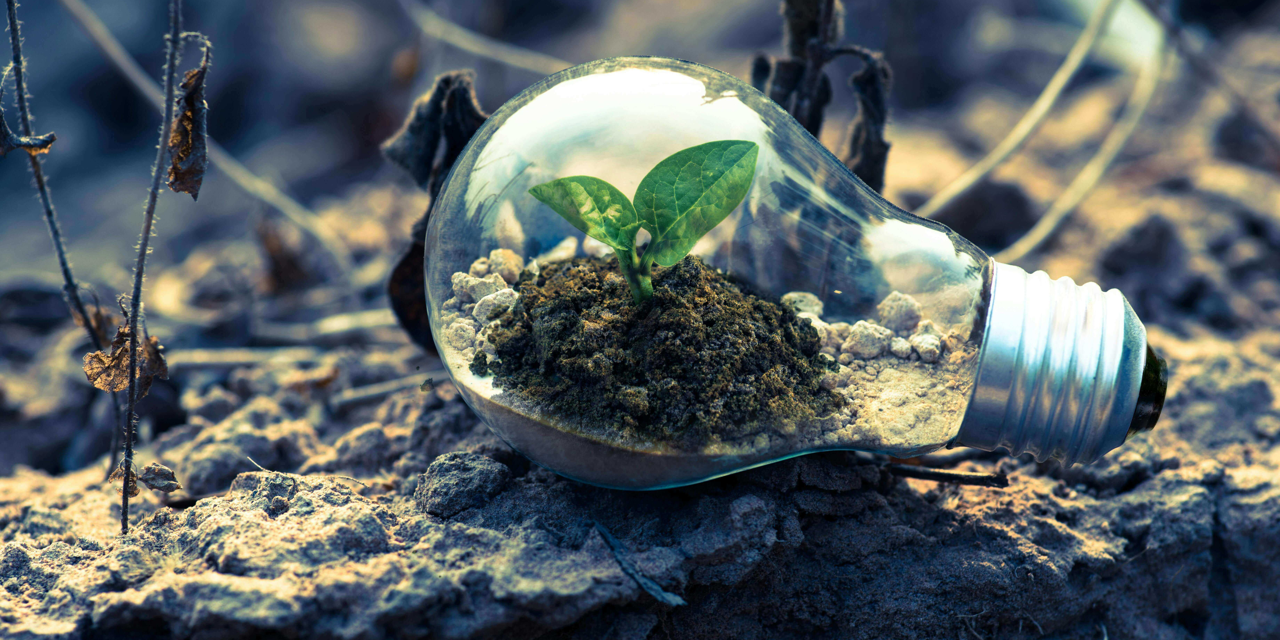 10 Simple Swaps for a More Sustainable Home