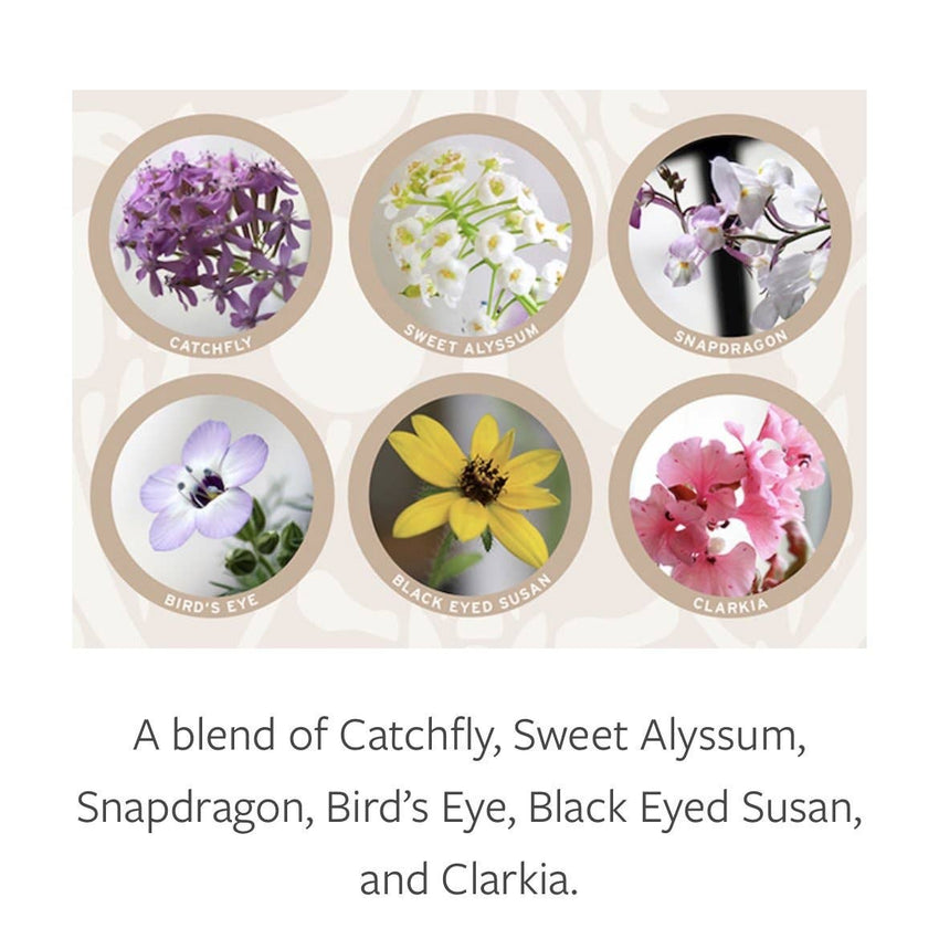 Plantable Greeting Card