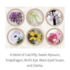 Plantable Greeting Card