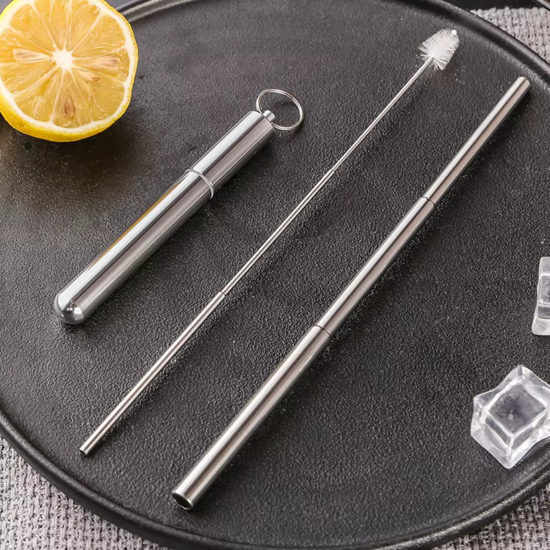 Stainless Steel Travel Straws