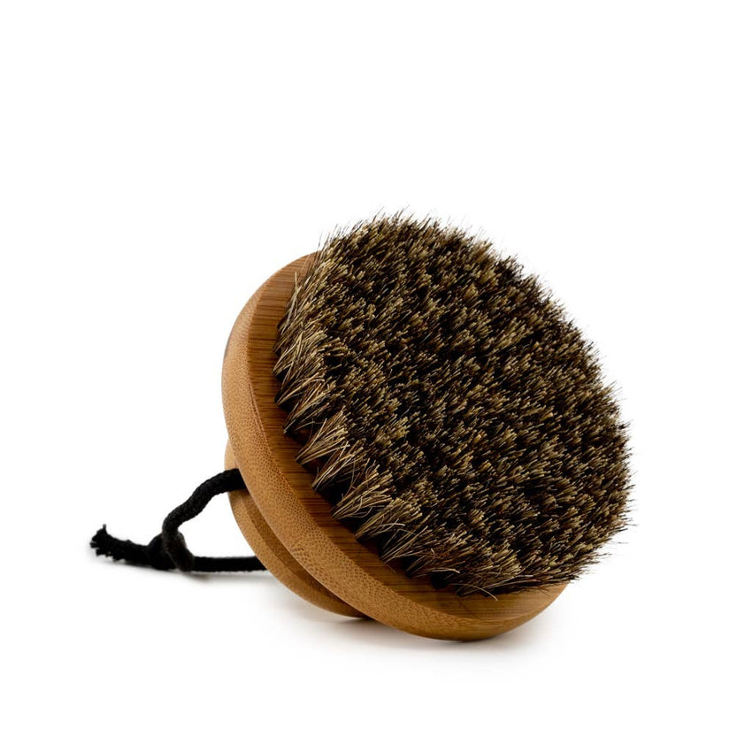 EcoFreax- Round Horse Hair Dry Brush