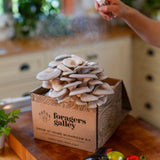 Blue Oyster Mushroom Grow-at-Home Kit