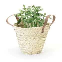 Straw Planter with Leather Handles