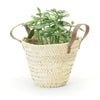 Straw Planter with Leather Handles