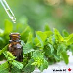 Peppermint Essential Oil 