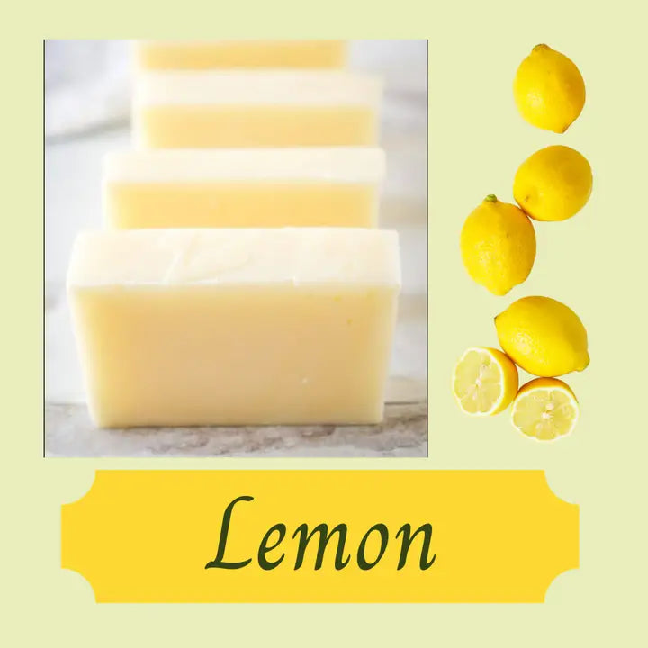 Beezy Solid Dish Soap Bar