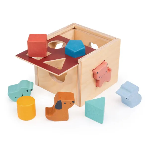 Stacking & Shape Sorting