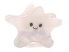 Ecofriendly Hair Claw Clips
