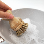 Dish Scrubber 