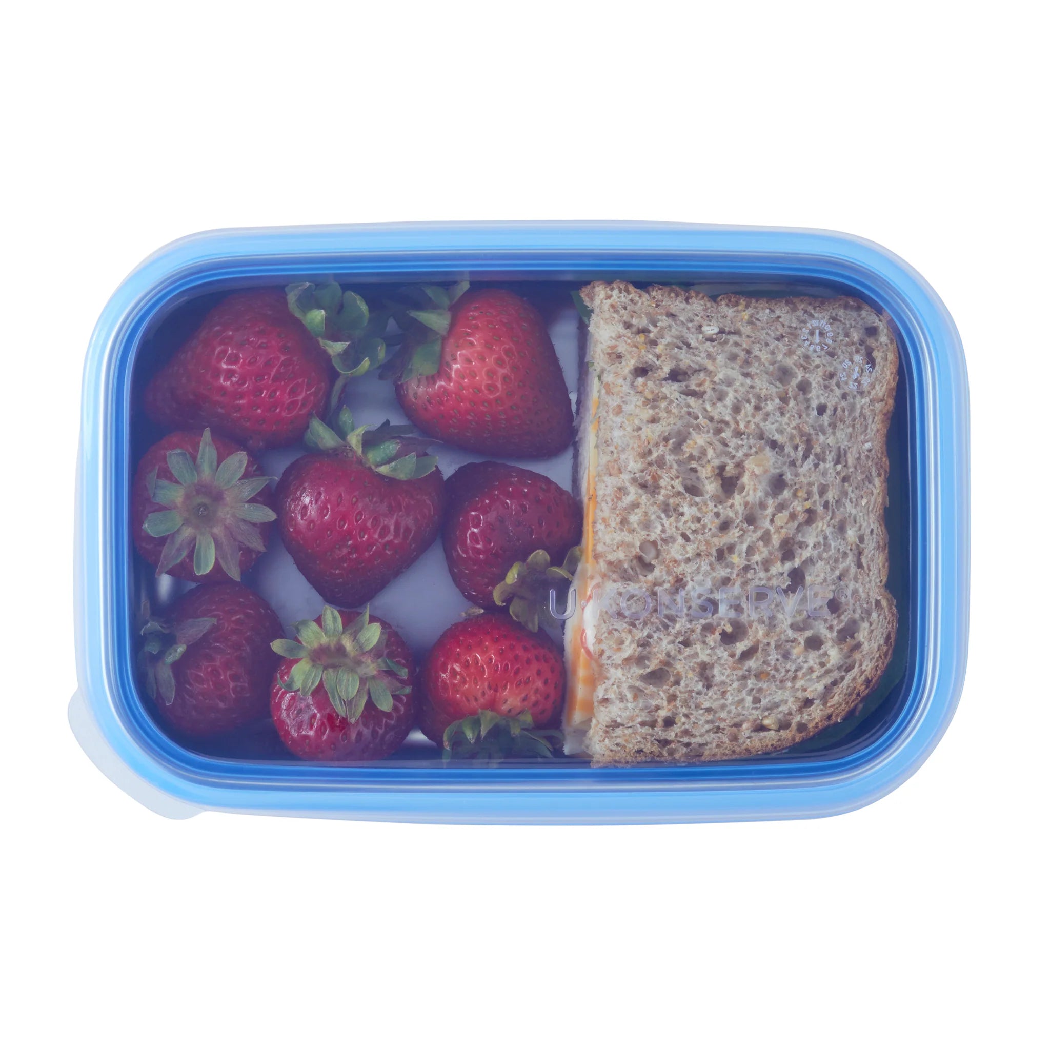 Container Replacement Lid