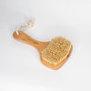 EcoFreax- Boar Bristle Dry Brush
