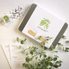 Kitchen Herb Garden Kit