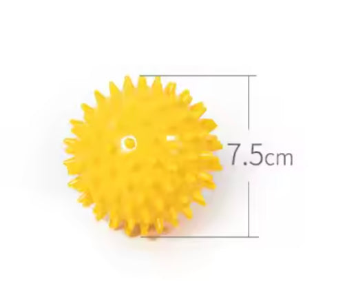 Hard Spiky Massage Ball