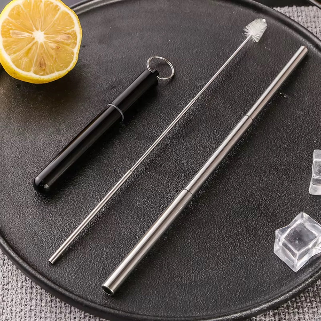 Stainless Steel Travel Straws Set