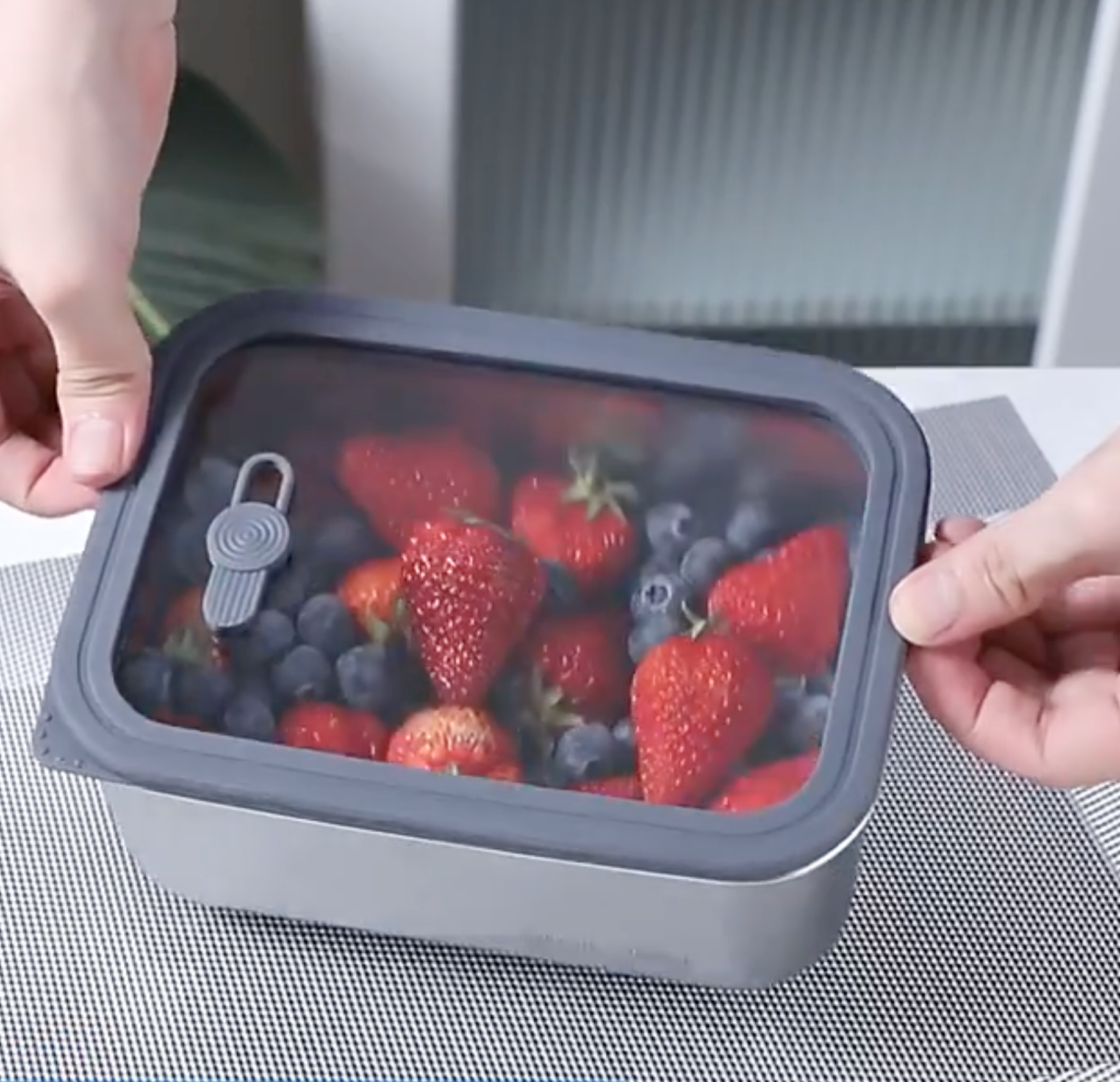 Food Container Stainless Steel with Glass Cover