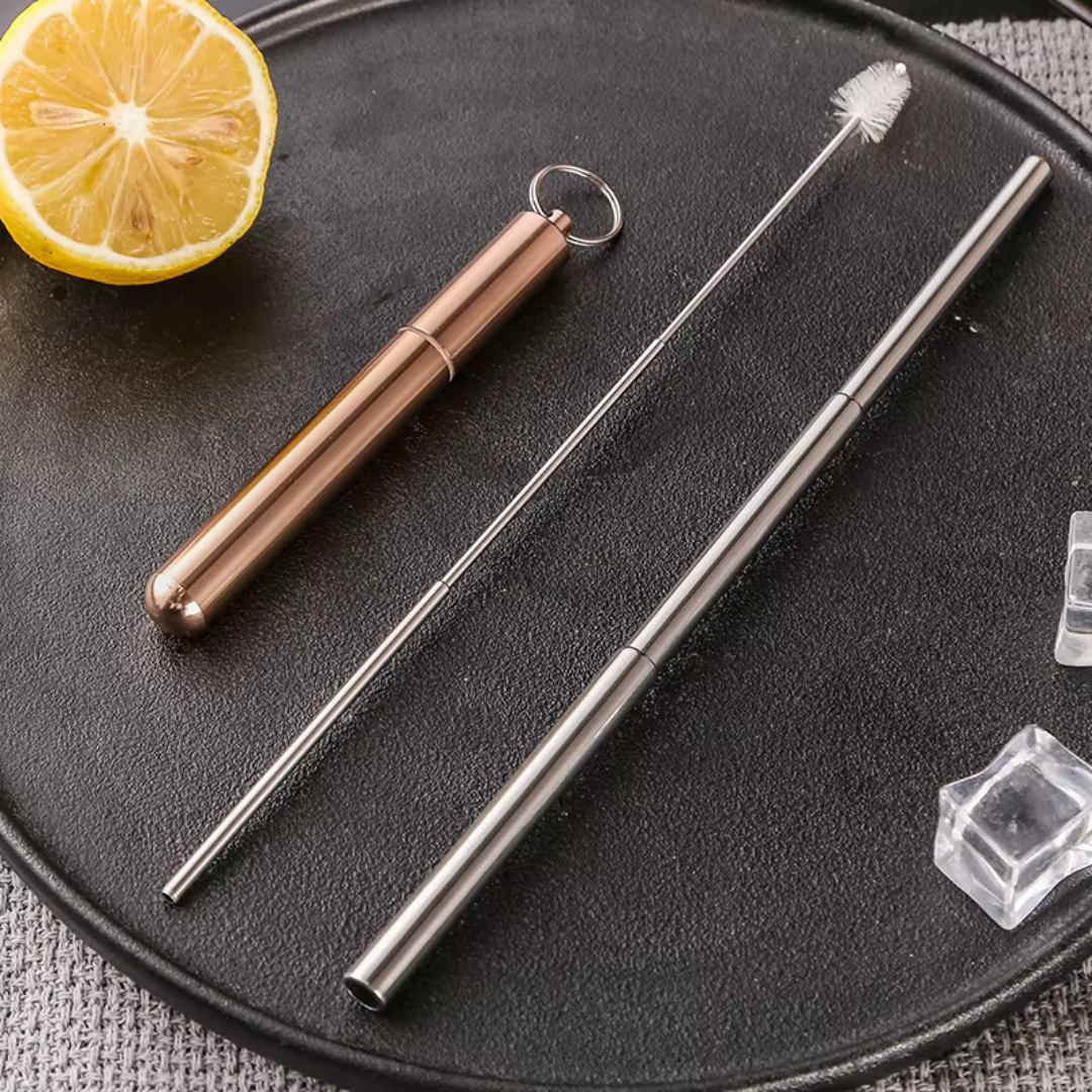 Stainless Steel Travel Straws Set