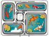 planetbox magnets 