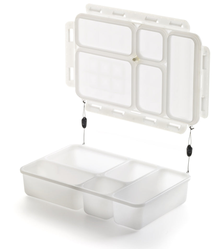 Go Green Leak-Proof 5-compartment Foodbox (Large)
