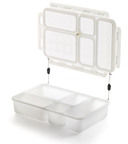 Go Green Leak-Proof 5-compartment Foodbox (Large)