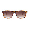 Kuma Sunglasses