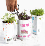 Microgreens Greeting Card Pouch