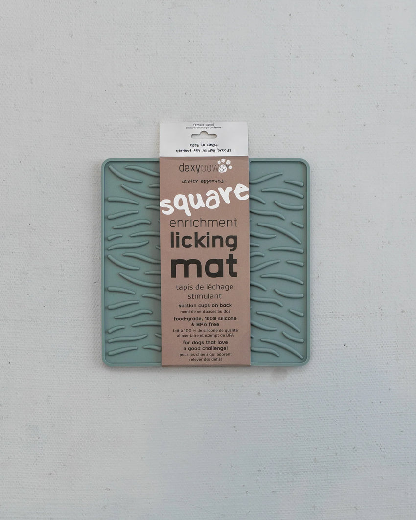 Enrichment Licking Mat