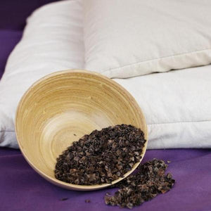 Organic Buckwheat Pillow (No Wool) by Dream Designs