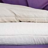 Organic Buckwheat Pillow With Wool (Cloud) by Dream Designs