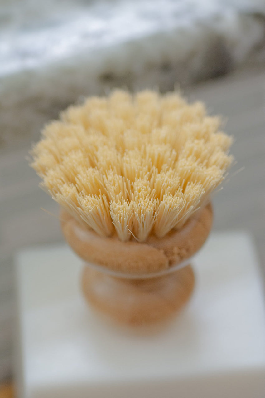 Casa Agave Dish Washing Brush