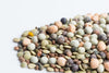 Mumm's Organic Sprouting Seeds
