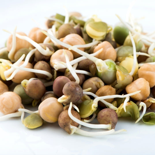 Mumm's Organic Sprouting Seeds