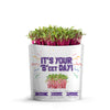 Microgreens Greeting Card Pouch