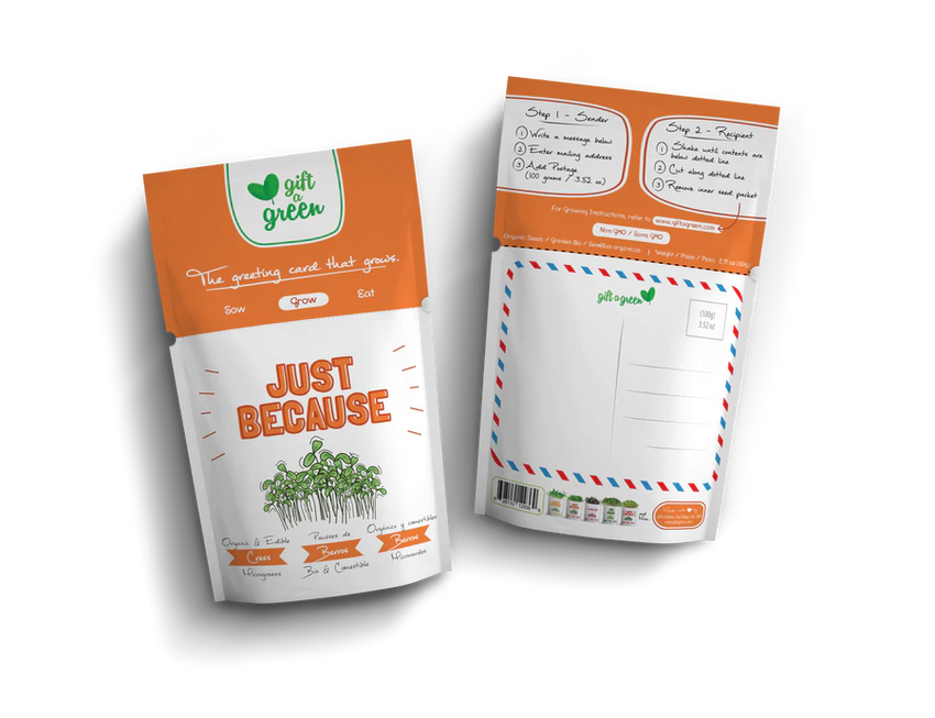 Microgreens Greeting Card Pouch