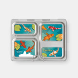 PlanetBox Magnets (Launch)