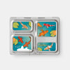 PlanetBox Magnets (Launch)