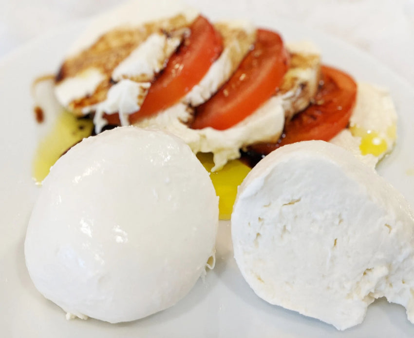 Mozza & Ricotta Kit