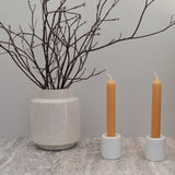Honey Candles Tube Pair 6"