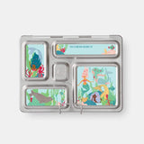 planetbox magnets 
