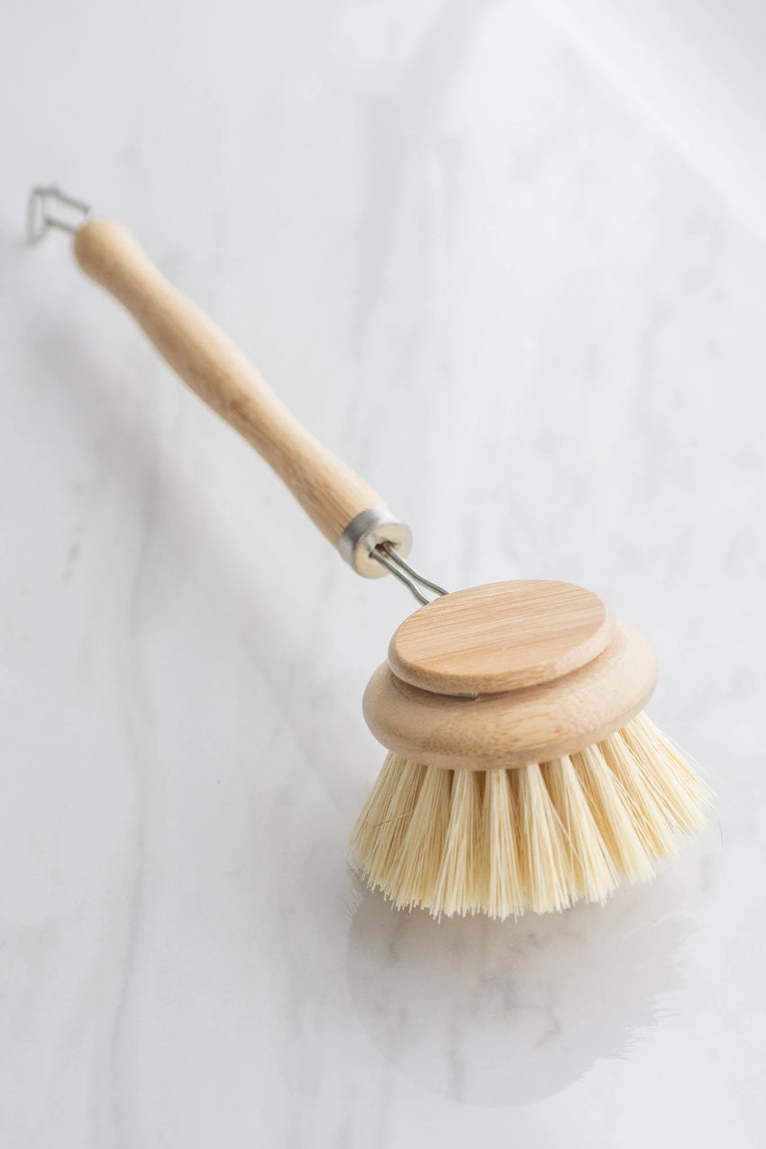 Casa Agave Dish Brush (with Replaceable Head)