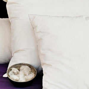 Kapok Pillow by Dream Designs - Organic Cotton Casing