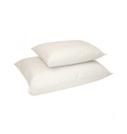 Washable Wool Pillow